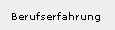 Berufserfahrung